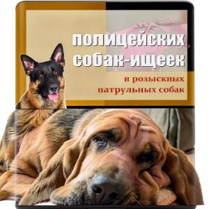 Dog Training Guide Russian Kindle Edition Kevin Kocher 455‑Page eBook-0